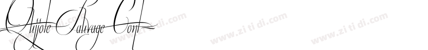 Quijote Sauvage Cont字体转换